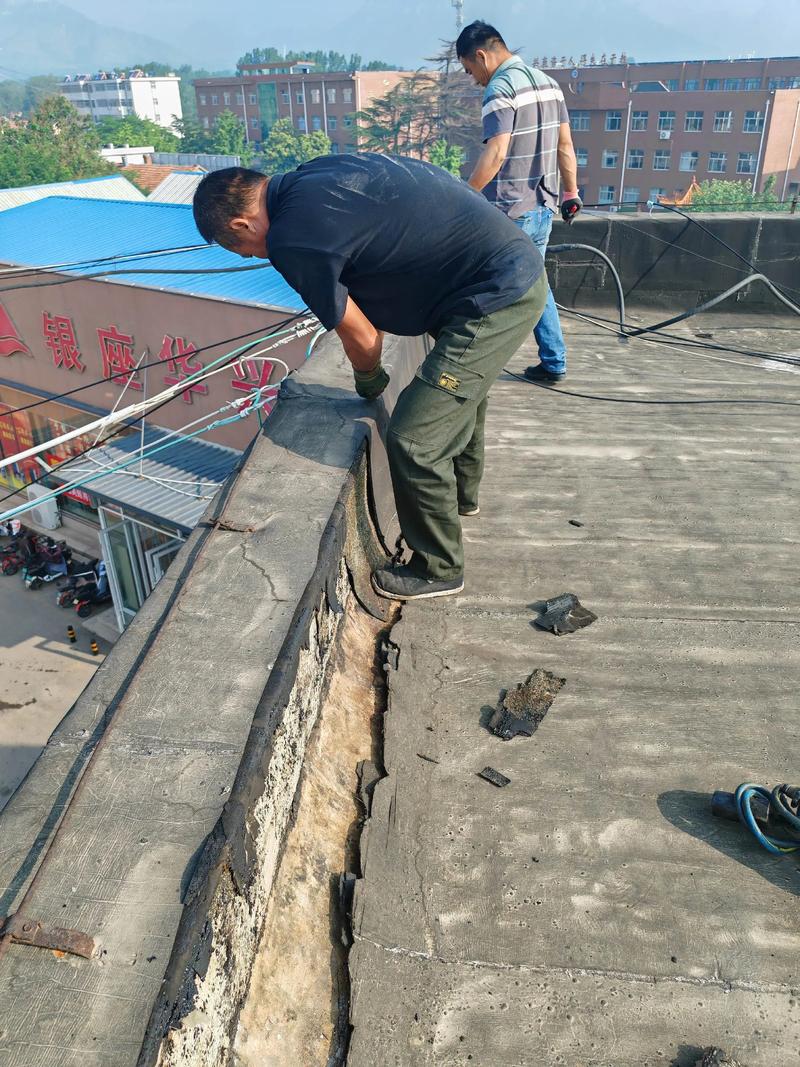 防水涂料——构建安全屏障的新篇章